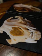 Load image into Gallery viewer, Art after death reference book
